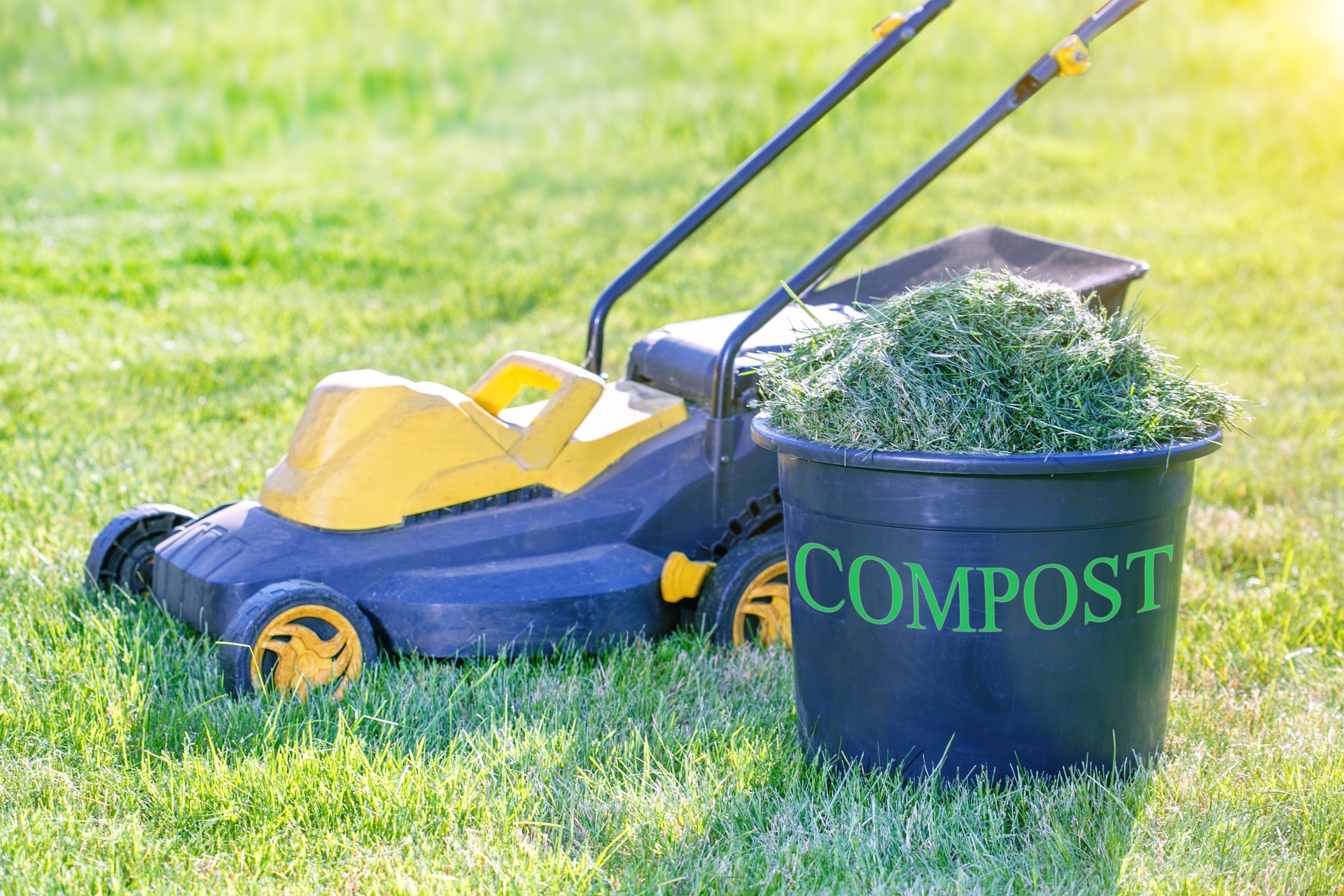 Compost Bin Full of Fresh Grass clipping on lawn in the garden.